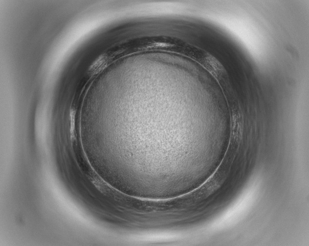 X0000115521439200911201650