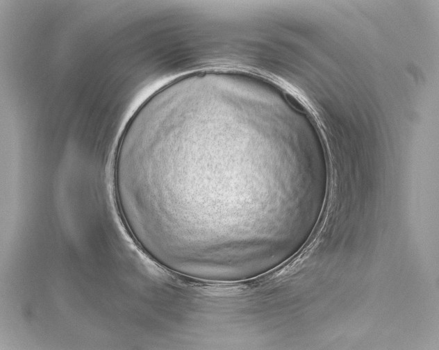 X0000115521440200911201650