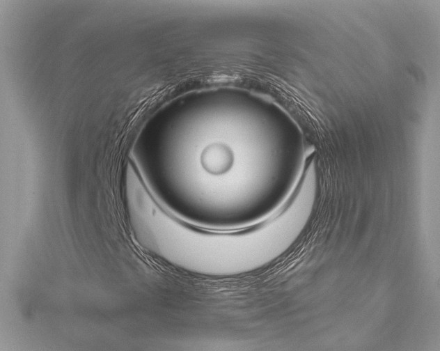 X0000115521441200911201649