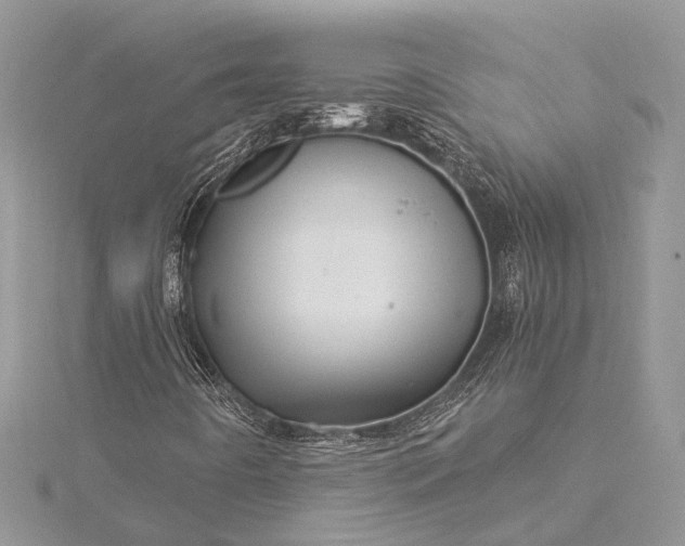 X0000115521442200911201649