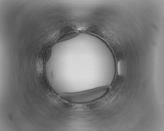 X0000115521443200911201649