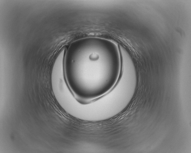 X0000115521444200911201649