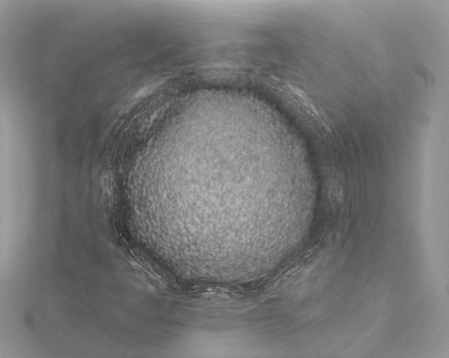 X0000115521445200911201649