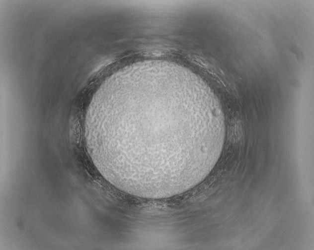 X0000115521446200911201649