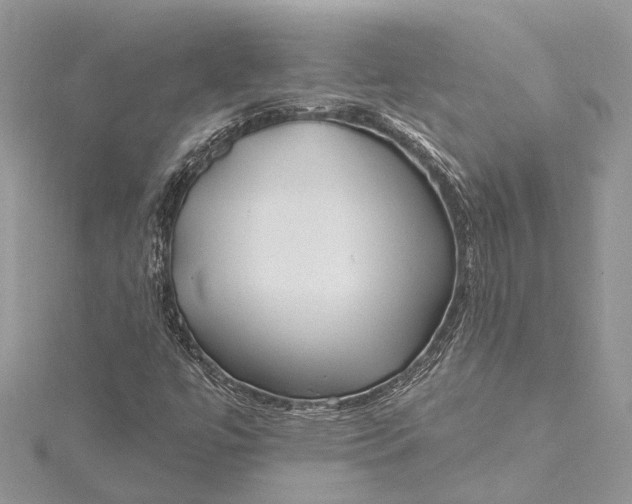 X0000115521447200911201649