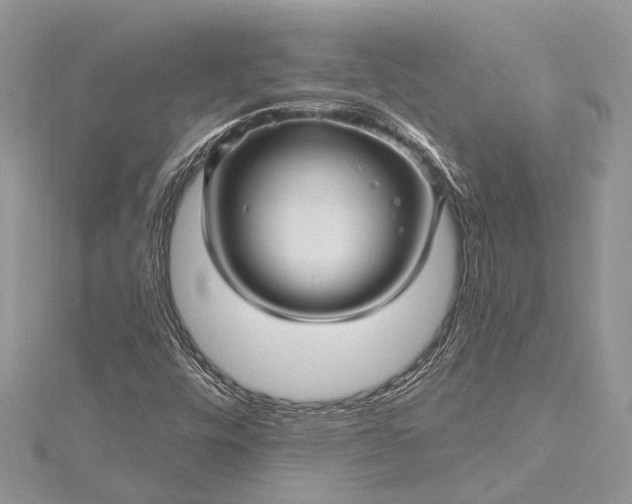 X0000115521448200911201649