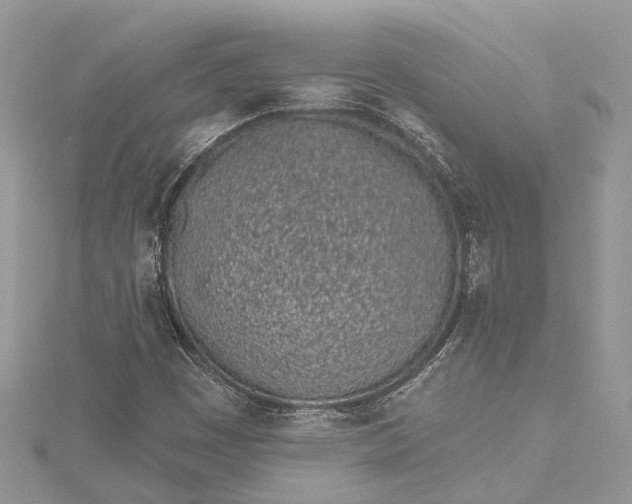 X0000115521449200911201649