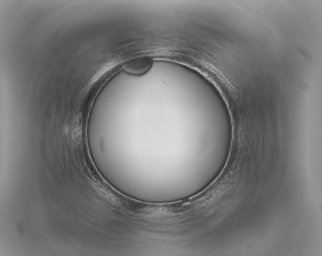 X0000115521450200911201649