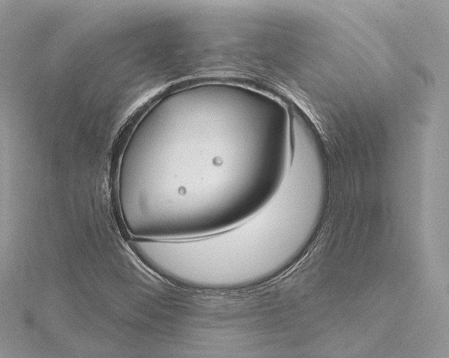 X0000115521452200911201649