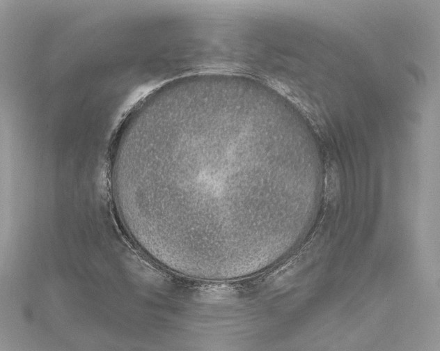 X0000115521454200911201649