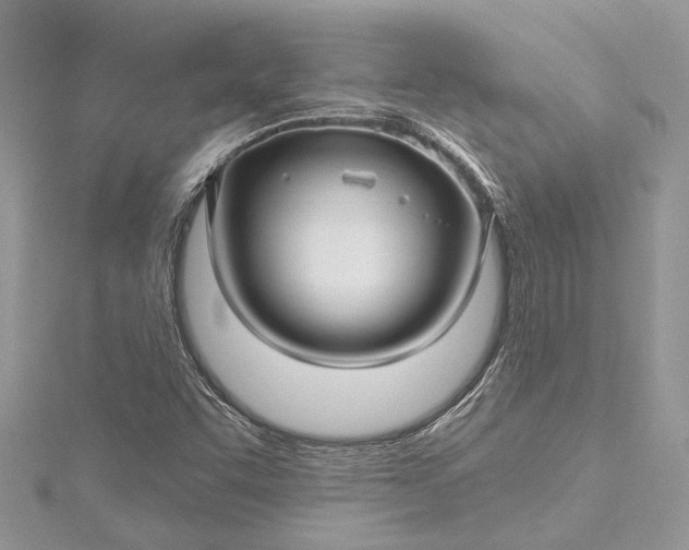 X0000115521455200911201649