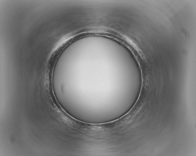 X0000115521456200911201649