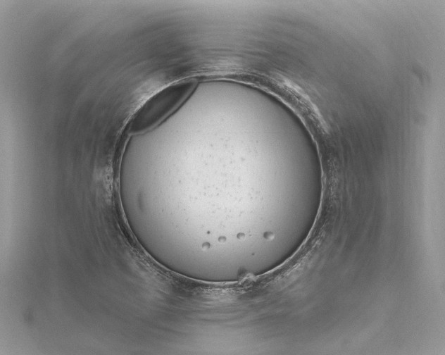 X0000115521457200911201649