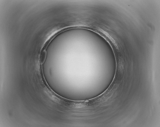 X0000115521460200911201649