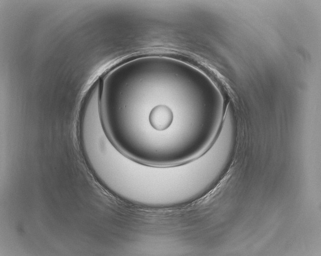 X0000115521461200911201649