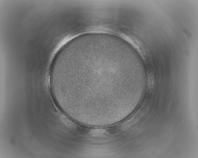 X0000115521462200911201649