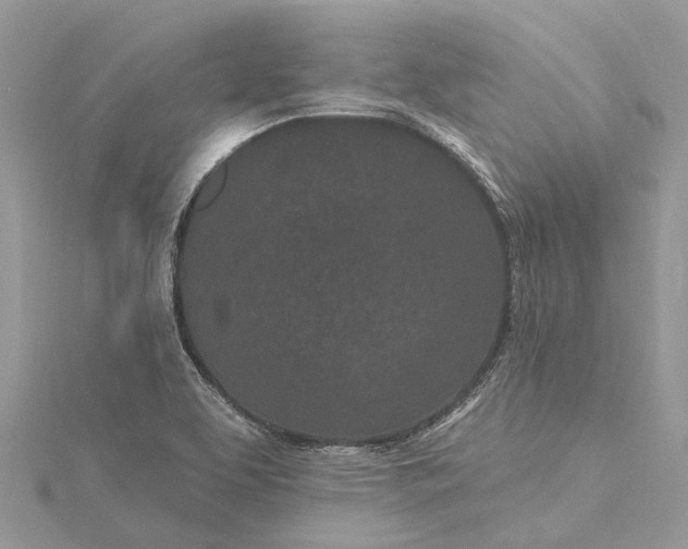 X0000115521463200911201649