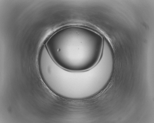 X0000115521464200911201649