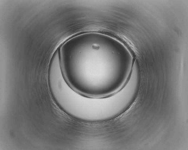 X0000115521465200911201649