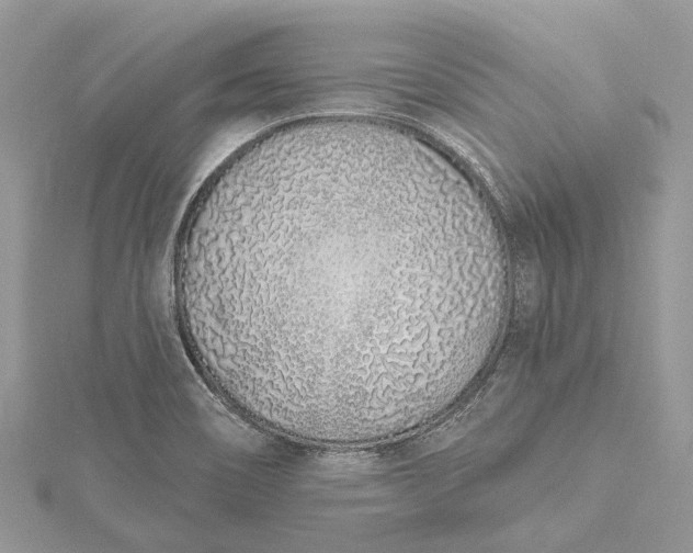 X0000115521466200911201649