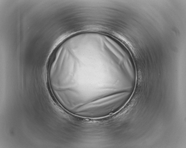 X0000115521467200911201649