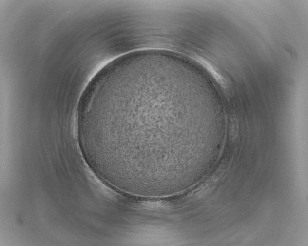 X0000115521468200911201649