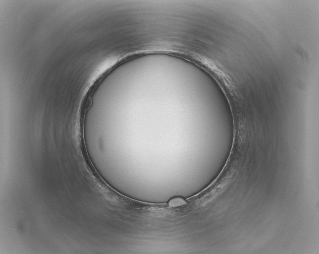 X0000115521469200911201649