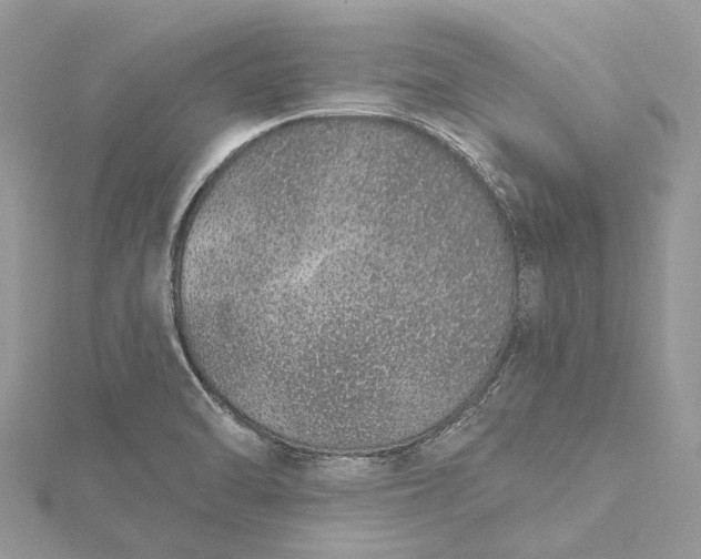 X0000115521470200911201649