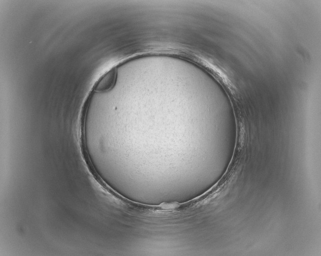 X0000115521471200911201649