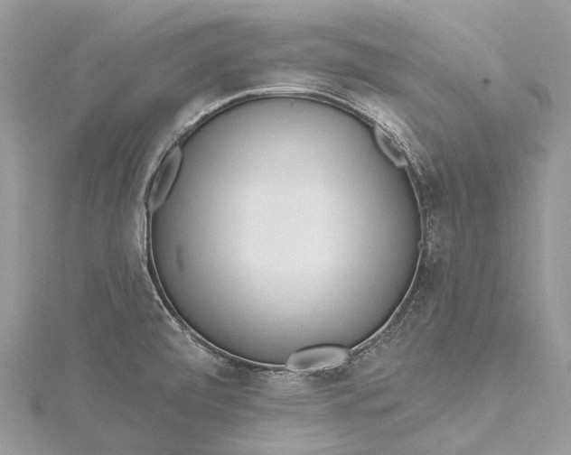 X0000115521472200911201649