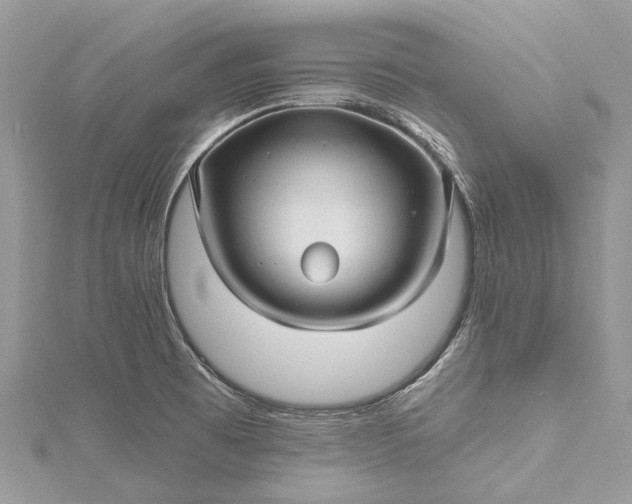 X0000115521473200911201649