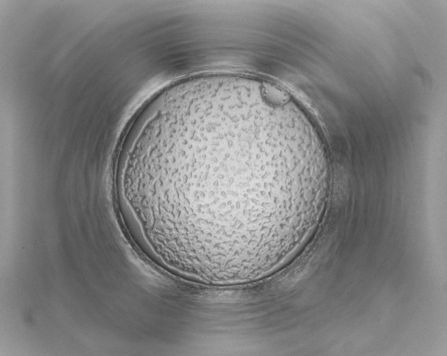 X0000115521474200911201649