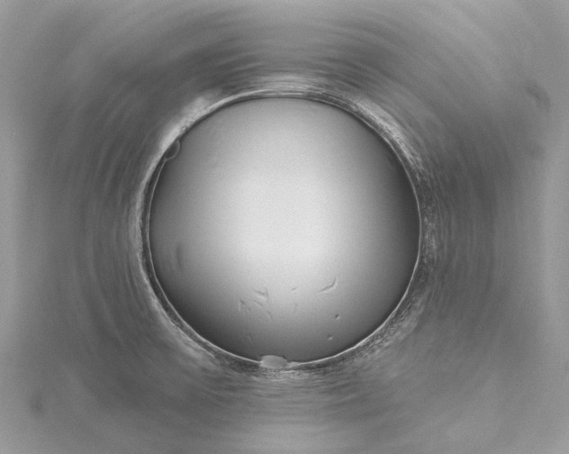 X0000115521475200911201649