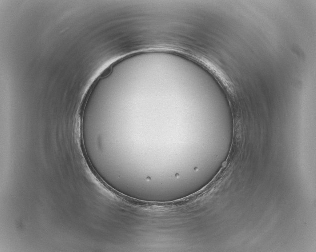 X0000115521476200911201649