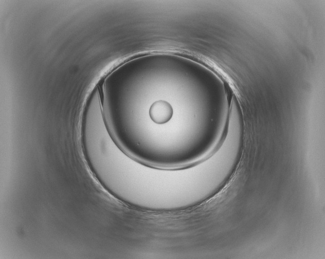 X0000115521477200911201649