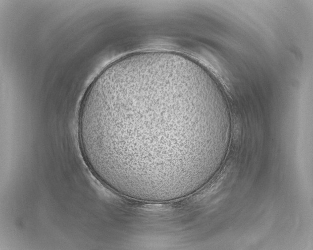 X0000115521478200911201649