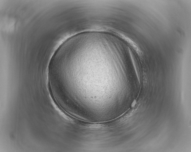 X0000115521479200911201649