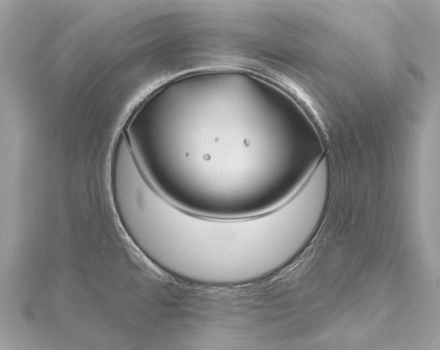 X0000115521480200911201649