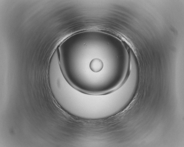 X0000115521481200911201649