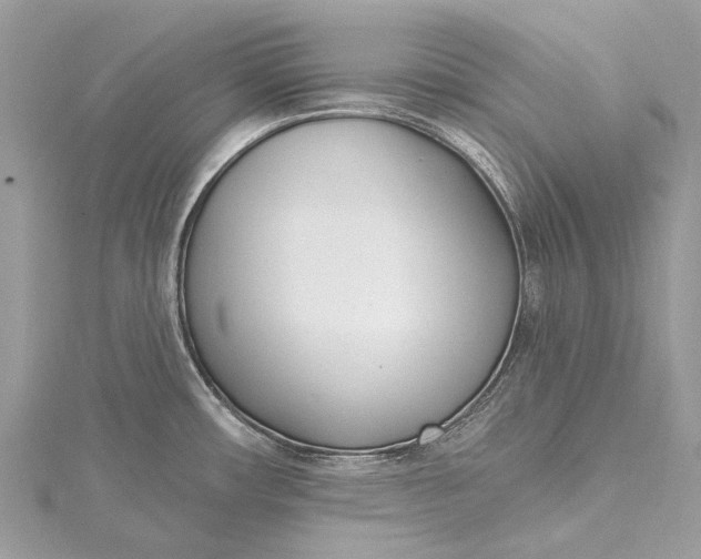 X0000115521482200911201649