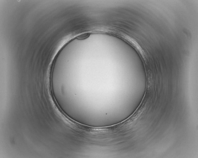 X0000115521483200911201649