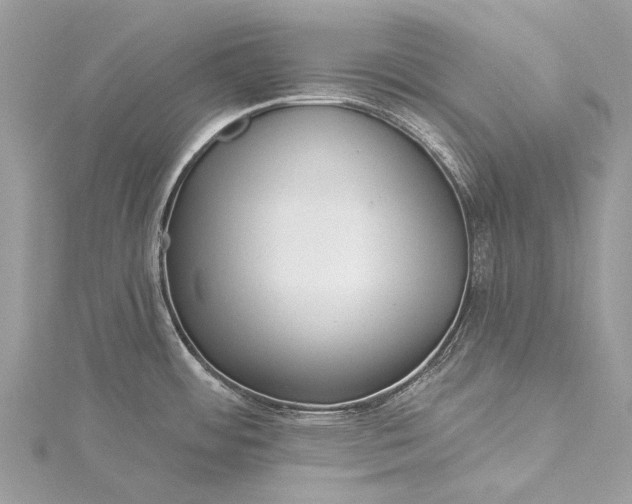 X0000115521484200911201649