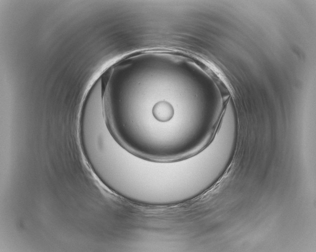 X0000115521485200911201649