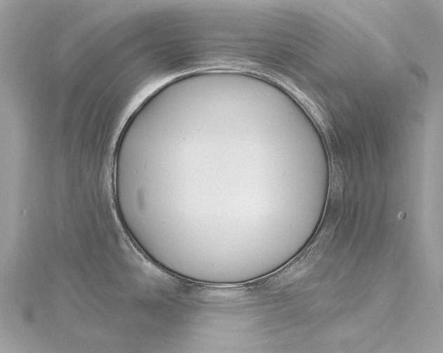 X0000115521486200911201648