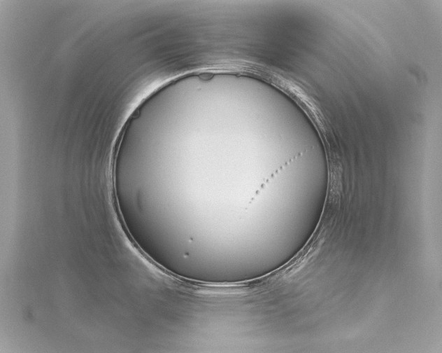 X0000115521487200911201648