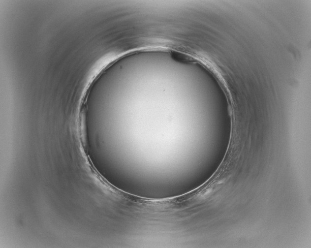 X0000115521488200911201648