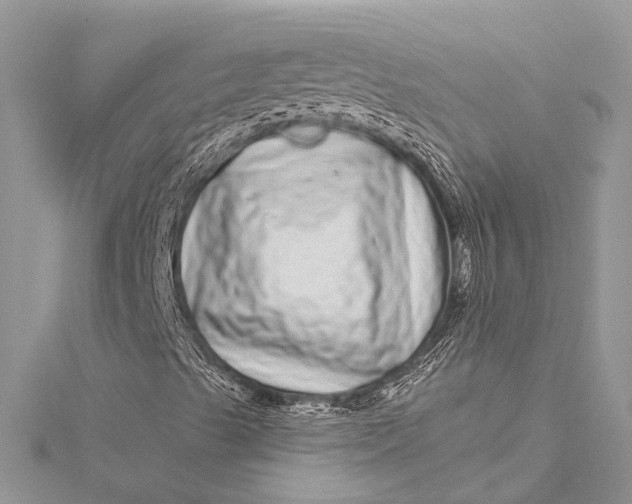 X0000115521489200911201648