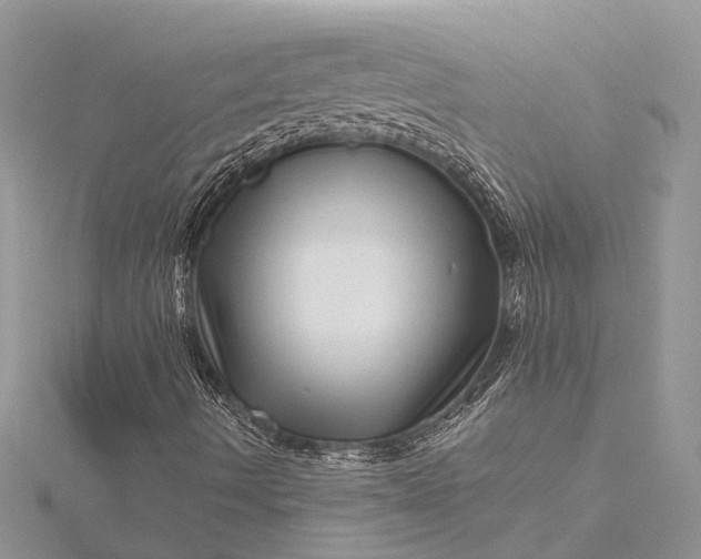 X0000115521490200911201648