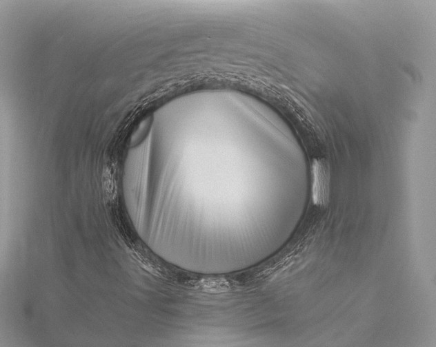 X0000115521491200911201648