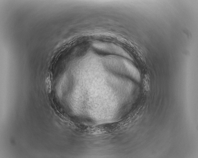 X0000115521493200911201648